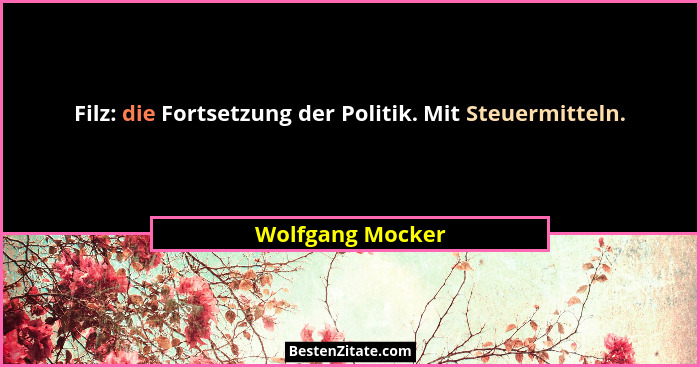 Filz: die Fortsetzung der Politik. Mit Steuermitteln.... - Wolfgang Mocker