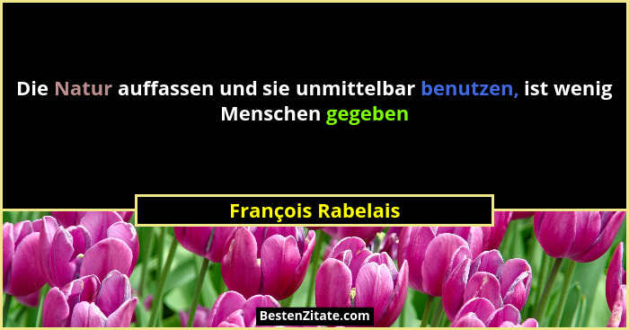Die Natur auffassen und sie unmittelbar benutzen, ist wenig Menschen gegeben... - François Rabelais