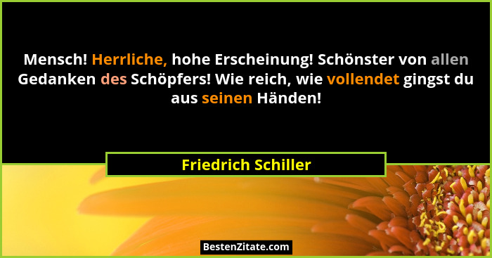 Mensch! Herrliche, hohe Erscheinung! Schönster von allen Gedanken des Schöpfers! Wie reich, wie vollendet gingst du aus seinen Hä... - Friedrich Schiller