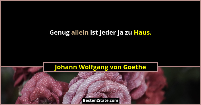 Genug allein ist jeder ja zu Haus.... - Johann Wolfgang von Goethe