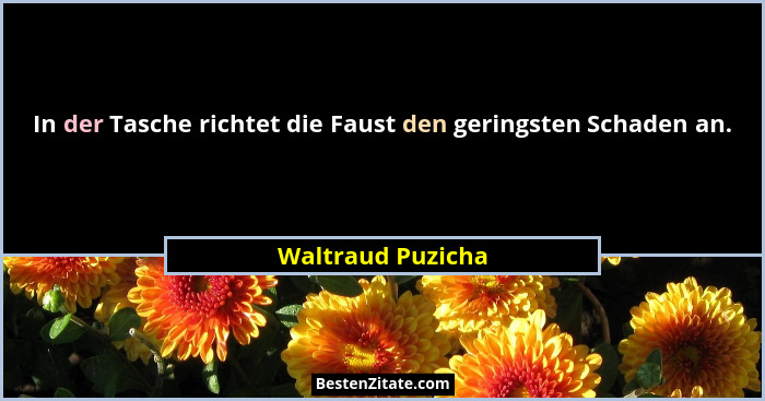 In der Tasche richtet die Faust den geringsten Schaden an.... - Waltraud Puzicha