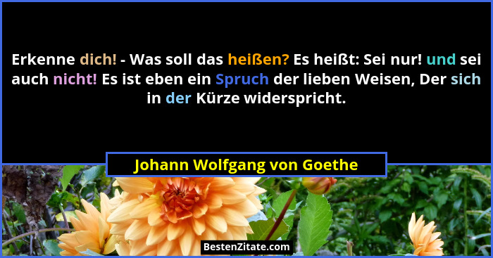 Erkenne dich! - Was soll das heißen? Es heißt: Sei nur! und sei auch nicht! Es ist eben ein Spruch der lieben Weisen, Der... - Johann Wolfgang von Goethe