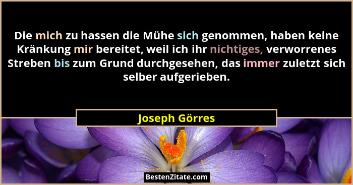 Die mich zu hassen die Mühe sich genommen, haben keine Kränkung mir bereitet, weil ich ihr nichtiges, verworrenes Streben bis zum Grun... - Joseph Görres