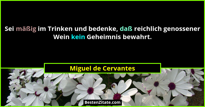 Sei mäßig im Trinken und bedenke, daß reichlich genossener Wein kein Geheimnis bewahrt.... - Miguel de Cervantes