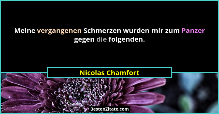 Meine vergangenen Schmerzen wurden mir zum Panzer gegen die folgenden.... - Nicolas Chamfort