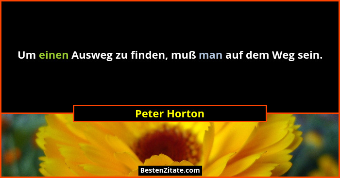 Um einen Ausweg zu finden, muß man auf dem Weg sein.... - Peter Horton