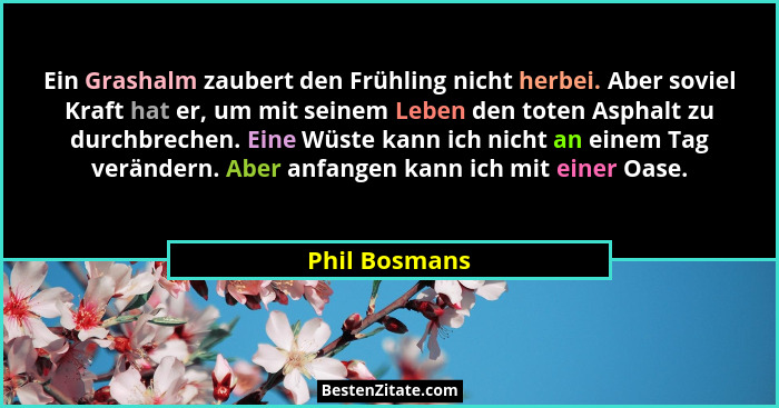 Ein Grashalm zaubert den Frühling nicht herbei. Aber soviel Kraft hat er, um mit seinem Leben den toten Asphalt zu durchbrechen. Eine W... - Phil Bosmans