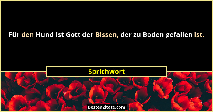 Für den Hund ist Gott der Bissen, der zu Boden gefallen ist.... - Sprichwort