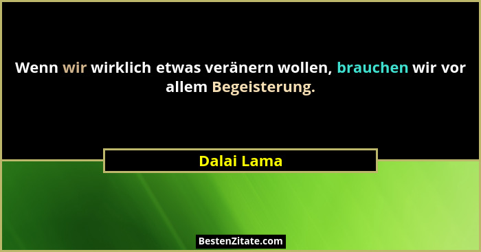 Wenn wir wirklich etwas veränern wollen, brauchen wir vor allem Begeisterung.... - Dalai Lama
