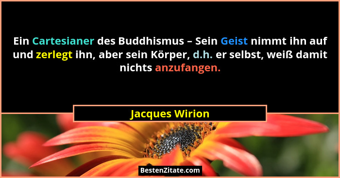 Ein Cartesianer des Buddhismus – Sein Geist nimmt ihn auf und zerlegt ihn, aber sein Körper, d.h. er selbst, weiß damit nichts anzufa... - Jacques Wirion