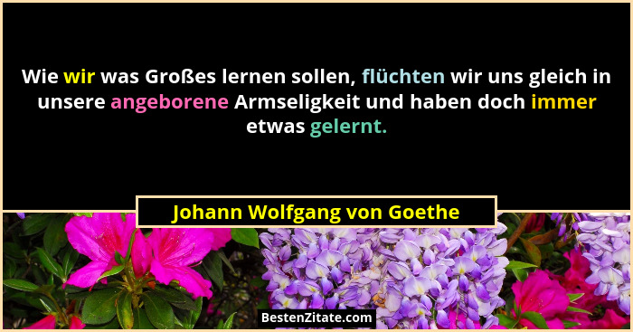 Wie wir was Großes lernen sollen, flüchten wir uns gleich in unsere angeborene Armseligkeit und haben doch immer etwas ge... - Johann Wolfgang von Goethe