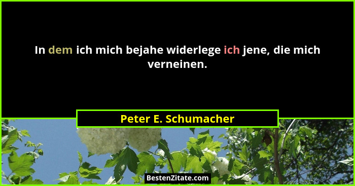 In dem ich mich bejahe widerlege ich jene, die mich verneinen.... - Peter E. Schumacher
