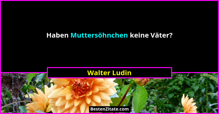 Haben Muttersöhnchen keine Väter?... - Walter Ludin