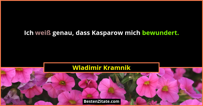 Ich weiß genau, dass Kasparow mich bewundert.... - Wladimir Kramnik