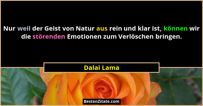 Nur weil der Geist von Natur aus rein und klar ist, können wir die störenden Emotionen zum Verlöschen bringen.... - Dalai Lama