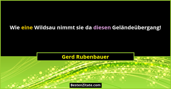 Wie eine Wildsau nimmt sie da diesen Geländeübergang!... - Gerd Rubenbauer