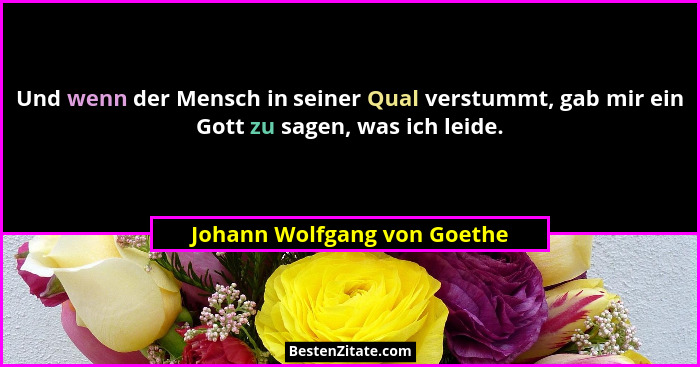 Und wenn der Mensch in seiner Qual verstummt, gab mir ein Gott zu sagen, was ich leide.... - Johann Wolfgang von Goethe