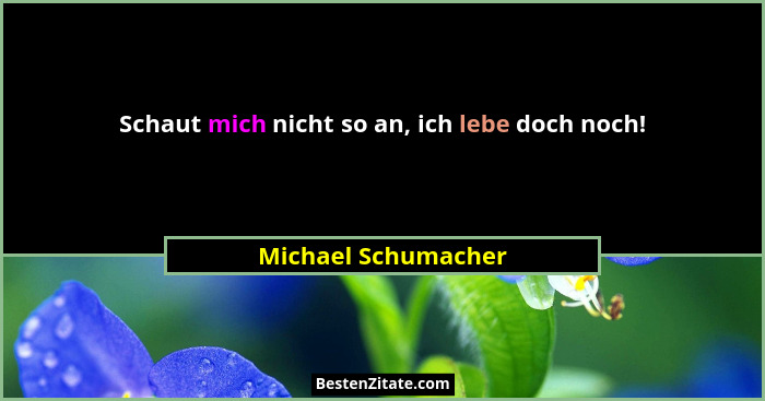 Schaut mich nicht so an, ich lebe doch noch!... - Michael Schumacher