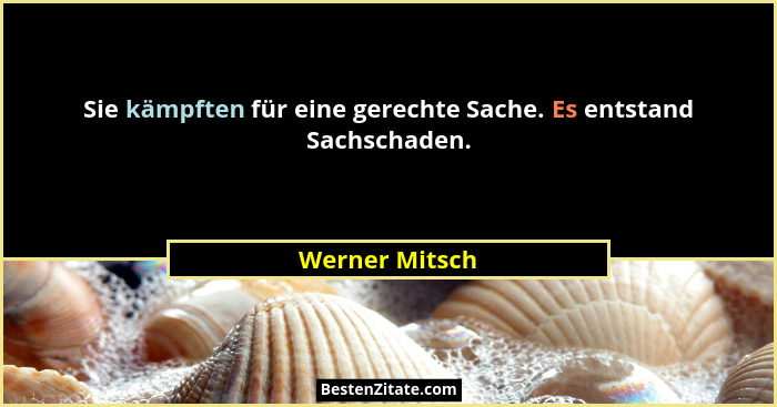 Sie kämpften für eine gerechte Sache. Es entstand Sachschaden.... - Werner Mitsch