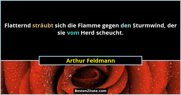 Flatternd sträubt sich die Flamme gegen den Sturmwind, der sie vom Herd scheucht.... - Arthur Feldmann