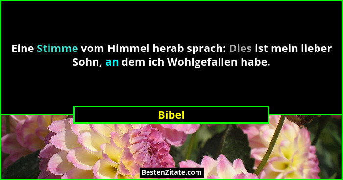 Eine Stimme vom Himmel herab sprach: Dies ist mein lieber Sohn, an dem ich Wohlgefallen habe.... - Bibel