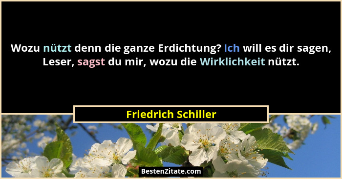Wozu nützt denn die ganze Erdichtung? Ich will es dir sagen, Leser, sagst du mir, wozu die Wirklichkeit nützt.... - Friedrich Schiller