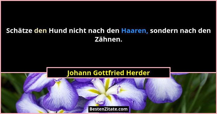 Schätze den Hund nicht nach den Haaren, sondern nach den Zähnen.... - Johann Gottfried Herder