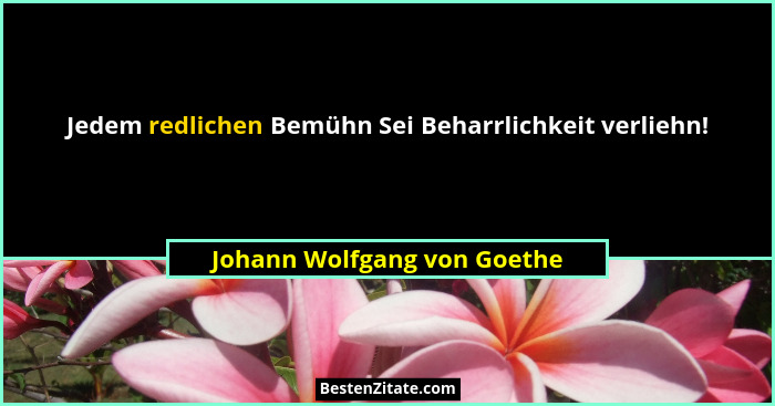 Jedem redlichen Bemühn Sei Beharrlichkeit verliehn!... - Johann Wolfgang von Goethe