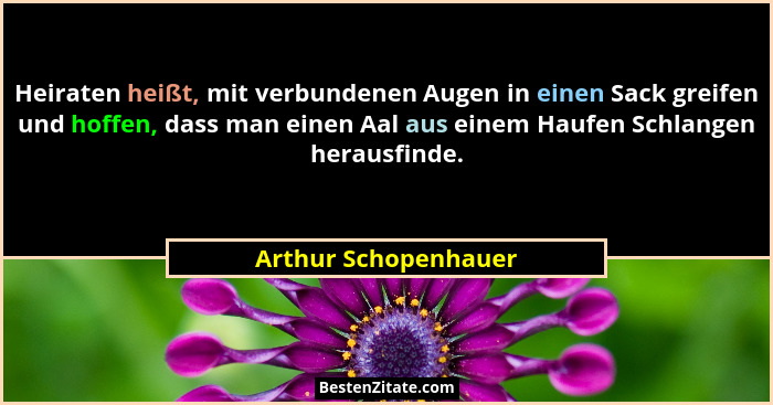 Heiraten heißt, mit verbundenen Augen in einen Sack greifen und hoffen, dass man einen Aal aus einem Haufen Schlangen herausfind... - Arthur Schopenhauer