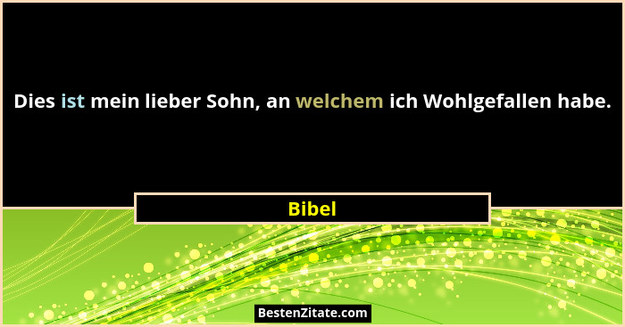 Dies ist mein lieber Sohn, an welchem ich Wohlgefallen habe.... - Bibel