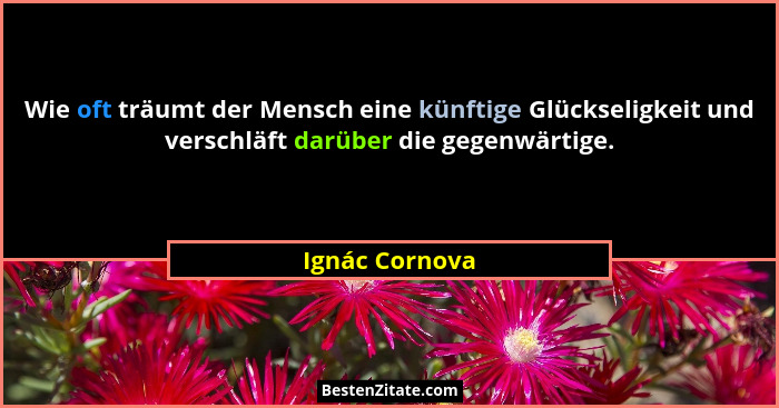 Wie oft träumt der Mensch eine künftige Glückseligkeit und verschläft darüber die gegenwärtige.... - Ignác Cornova