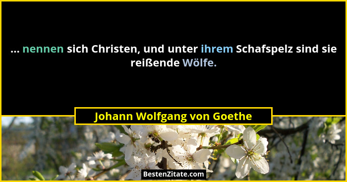 ... nennen sich Christen, und unter ihrem Schafspelz sind sie reißende Wölfe.... - Johann Wolfgang von Goethe