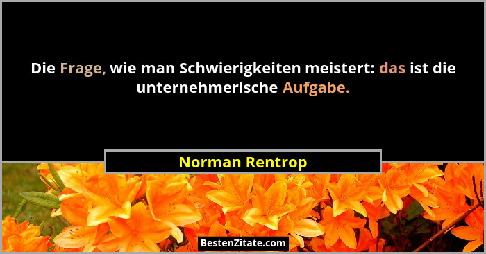Die Frage, wie man Schwierigkeiten meistert: das ist die unternehmerische Aufgabe.... - Norman Rentrop