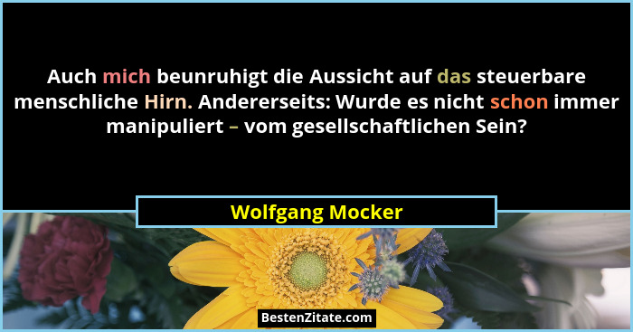 Auch mich beunruhigt die Aussicht auf das steuerbare menschliche Hirn. Andererseits: Wurde es nicht schon immer manipuliert – vom ge... - Wolfgang Mocker
