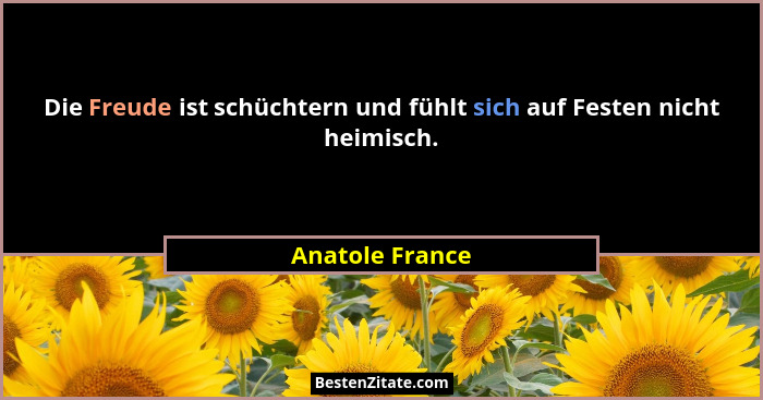 Die Freude ist schüchtern und fühlt sich auf Festen nicht heimisch.... - Anatole France