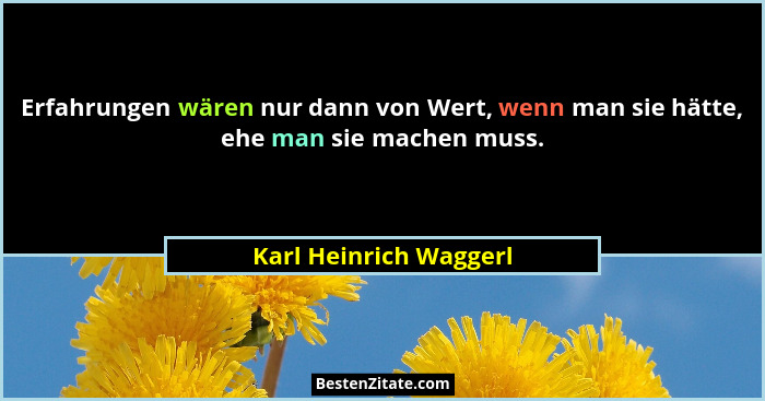 Erfahrungen wären nur dann von Wert, wenn man sie hätte, ehe man sie machen muss.... - Karl Heinrich Waggerl