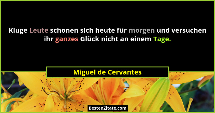 Kluge Leute schonen sich heute für morgen und versuchen ihr ganzes Glück nicht an einem Tage.... - Miguel de Cervantes
