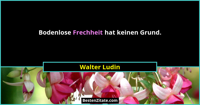 Bodenlose Frechheit hat keinen Grund.... - Walter Ludin