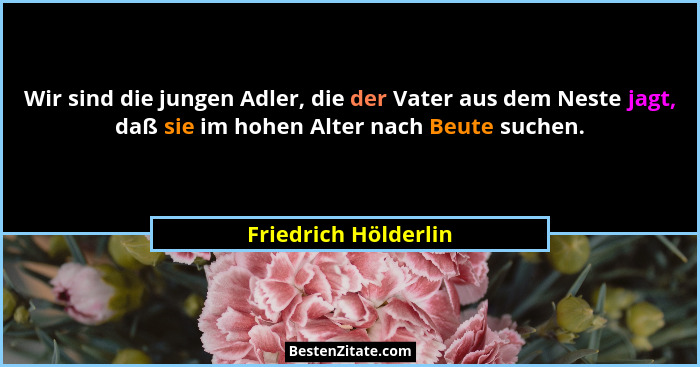 Wir sind die jungen Adler, die der Vater aus dem Neste jagt, daß sie im hohen Alter nach Beute suchen.... - Friedrich Hölderlin