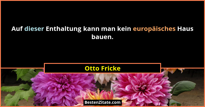 Auf dieser Enthaltung kann man kein europäisches Haus bauen.... - Otto Fricke