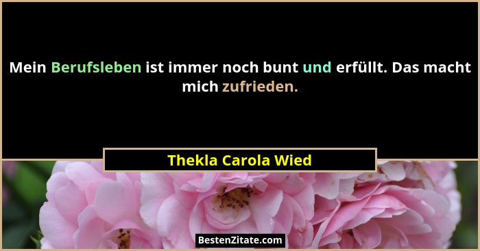 Mein Berufsleben ist immer noch bunt und erfüllt. Das macht mich zufrieden.... - Thekla Carola Wied
