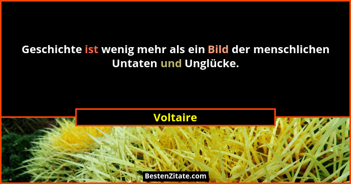 Geschichte ist wenig mehr als ein Bild der menschlichen Untaten und Unglücke.... - Voltaire