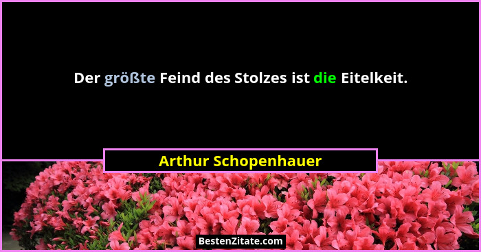 Der größte Feind des Stolzes ist die Eitelkeit.... - Arthur Schopenhauer
