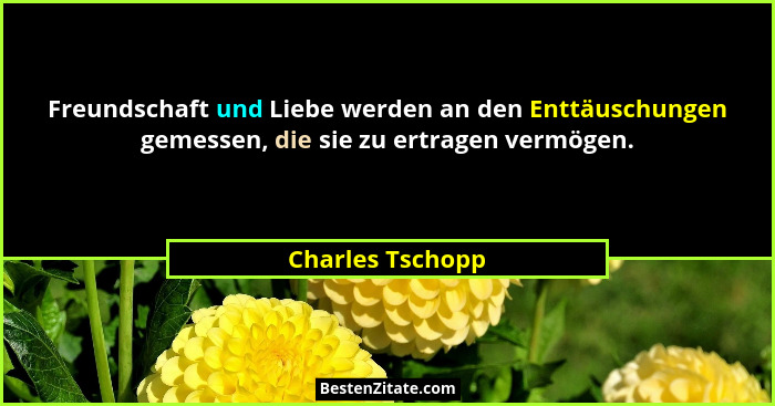 Freundschaft und Liebe werden an den Enttäuschungen gemessen, die sie zu ertragen vermögen.... - Charles Tschopp