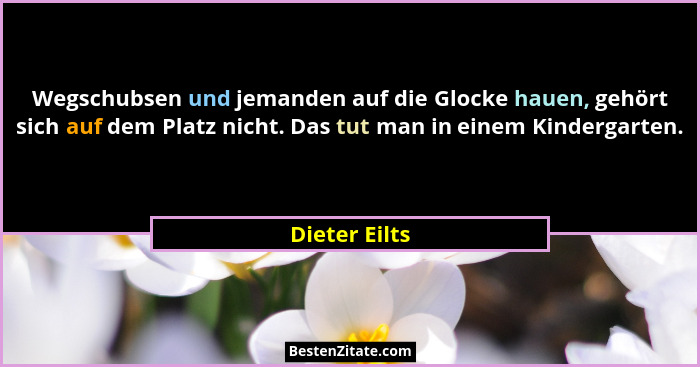 Wegschubsen und jemanden auf die Glocke hauen, gehört sich auf dem Platz nicht. Das tut man in einem Kindergarten.... - Dieter Eilts