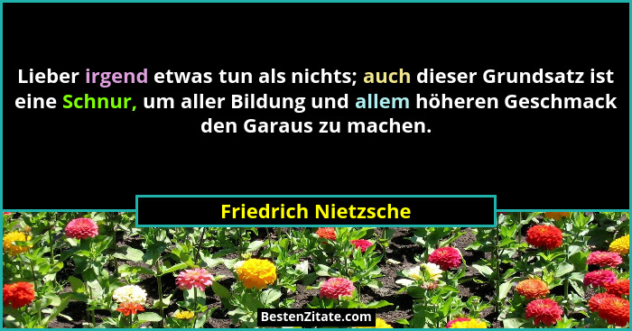 Lieber irgend etwas tun als nichts; auch dieser Grundsatz ist eine Schnur, um aller Bildung und allem höheren Geschmack den Gara... - Friedrich Nietzsche
