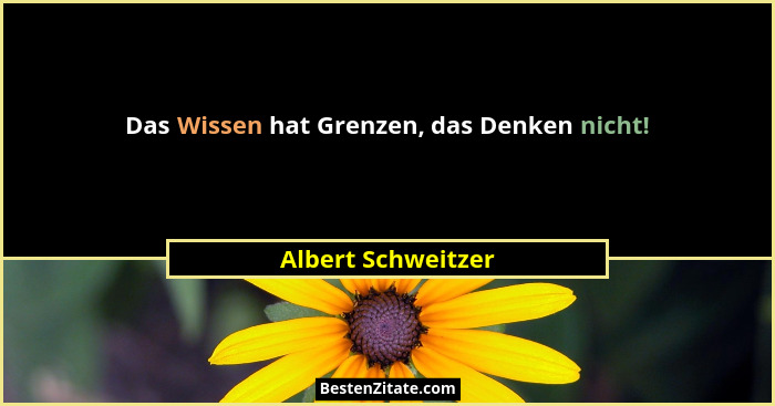 Das Wissen hat Grenzen, das Denken nicht!... - Albert Schweitzer