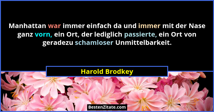 Manhattan war immer einfach da und immer mit der Nase ganz vorn, ein Ort, der lediglich passierte, ein Ort von geradezu schamloser Un... - Harold Brodkey