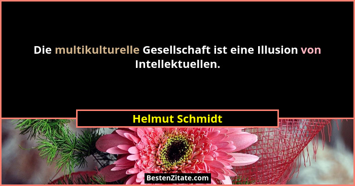 Die multikulturelle Gesellschaft ist eine Illusion von Intellektuellen.... - Helmut Schmidt