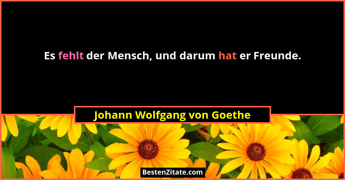 Es fehlt der Mensch, und darum hat er Freunde.... - Johann Wolfgang von Goethe